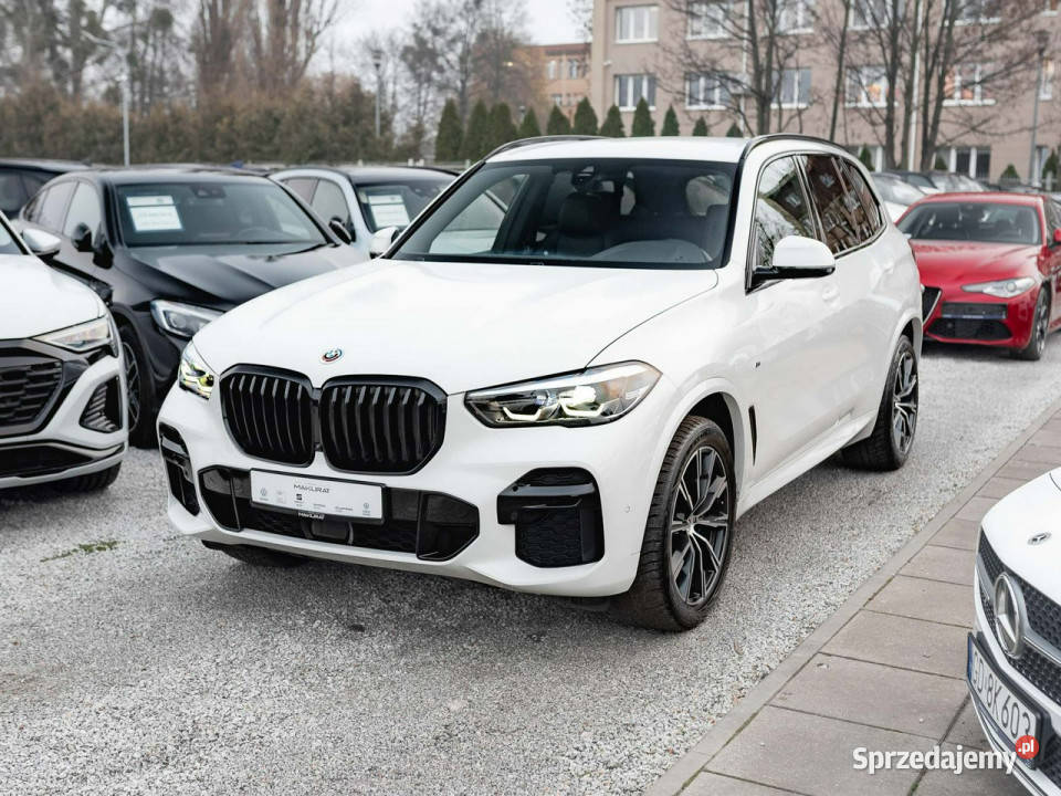 BMW X5 xDrive25d Podgrzf Ambient LED Salon VAT23 gniazdo USB Gdańsk sprzedam