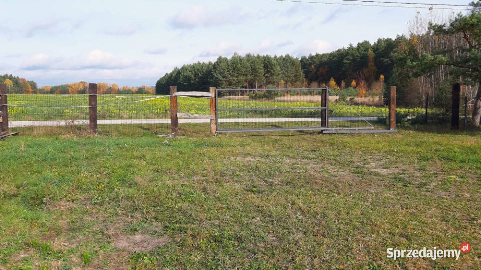 1679mkw 87mkw Sprzedaż świętokrzyskie Szczecno