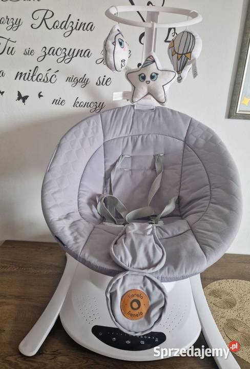 Bujaczek Lionello Bella Tczew