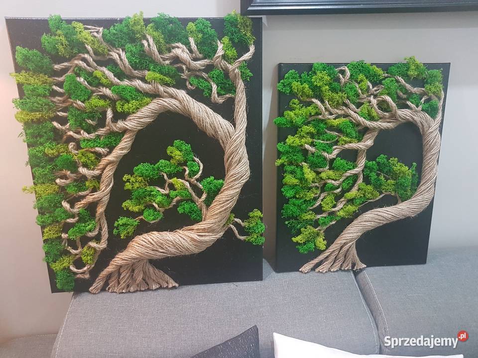 Drzewko szczęścia obraz mech chrobotek 4050 Chełmno sprzedam