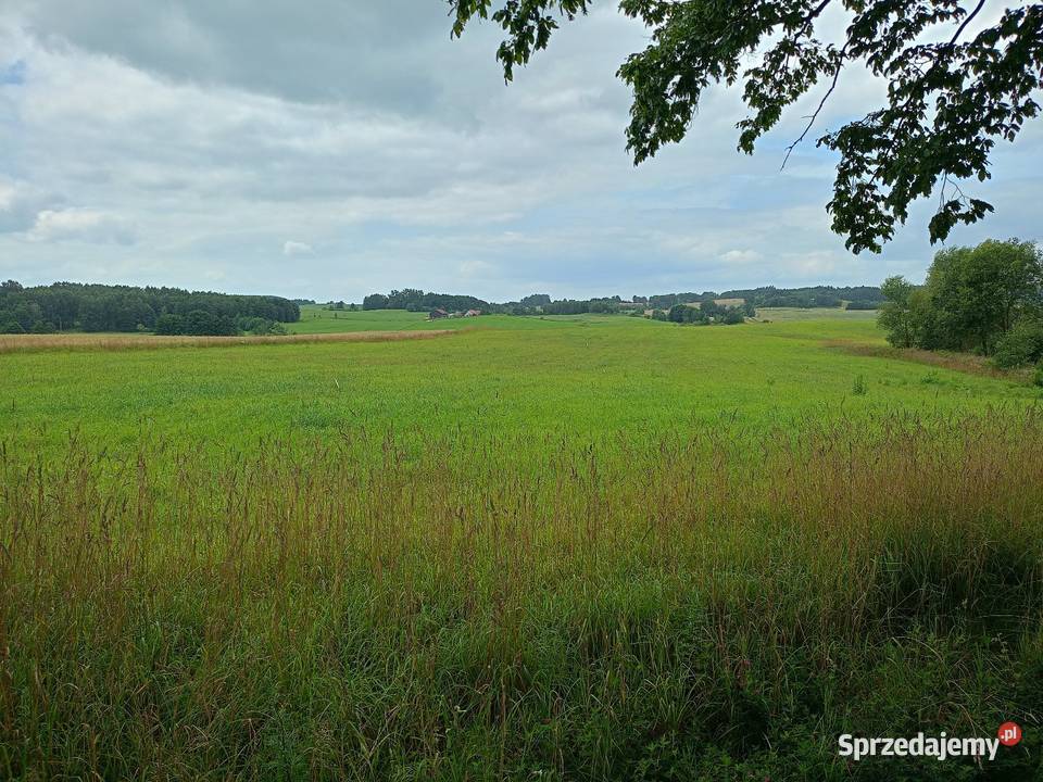 Na sprzedaż 16 działek 1012 arów Sprzedaż Lidzbark Warmiński sprzedam