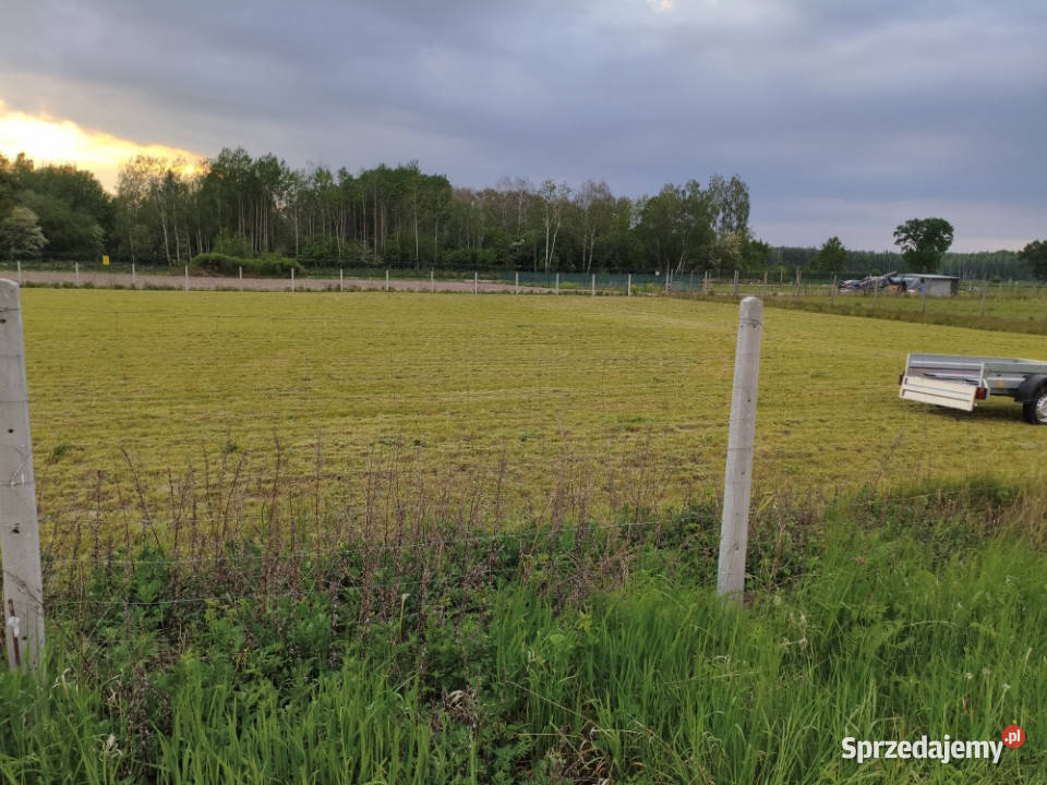 Działka na sprzedaż siedliskowa mazowieckie Witoldów