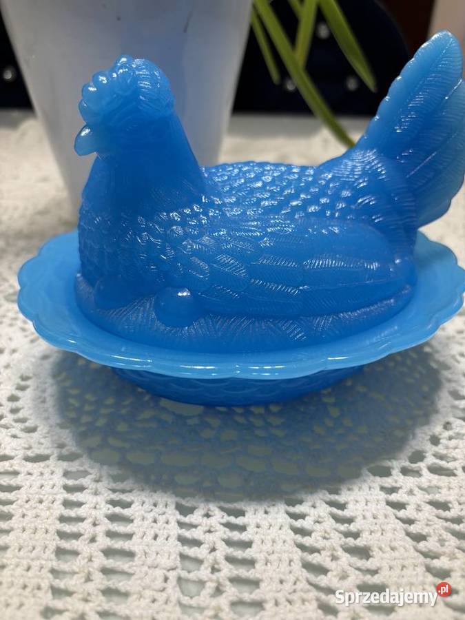 Kura w gnieździe Pozostałe Sędziejowice