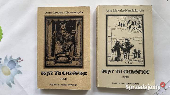 Jest tu chlopiecksiazka t1 i 2 ALisowska miękka lubelskie Lublin