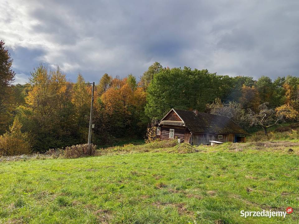 dom drewniany Binarowa