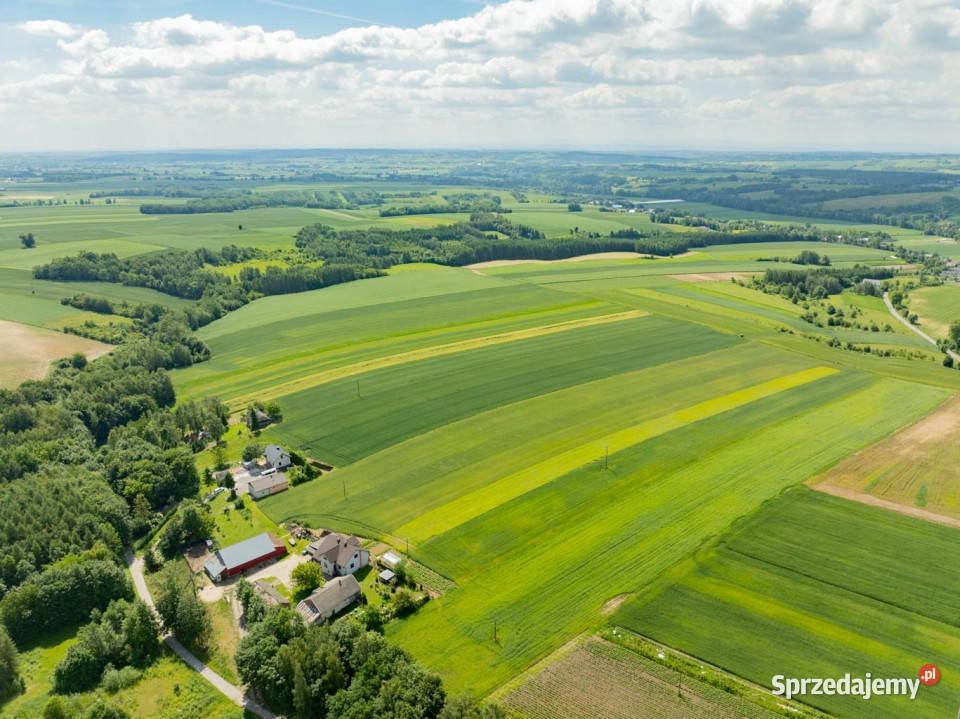 Sielska nieruchomość w otoczeniu natury 220 HA Grzegorzowice Wielkie