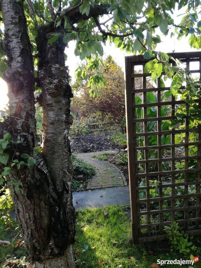 Działka ROD Relaks w Ełku