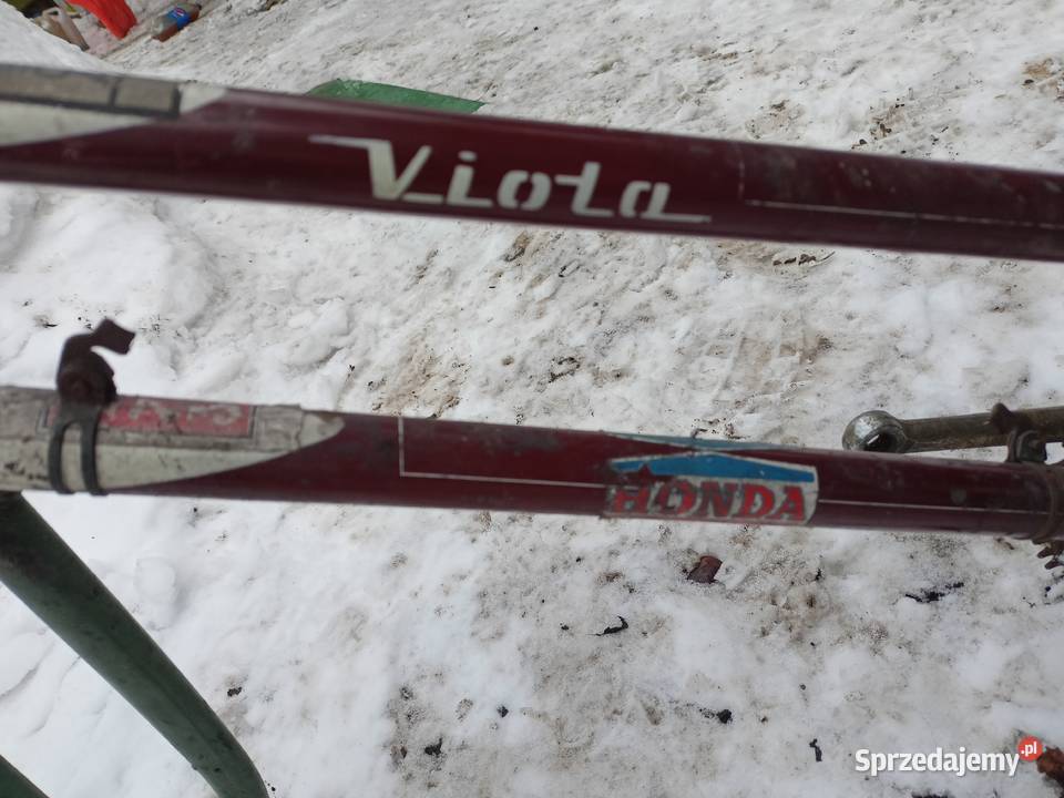 Stary rower Viola rama Wiola Skarżysko-Kamienna