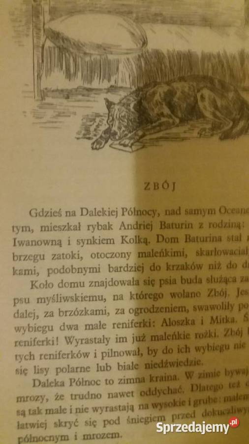 Przygoda w lesie piękne książki dziecięce Dzień mazowieckie Warszawa