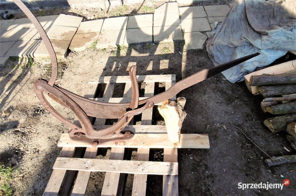 gilotyna DRGM DO SŁOMY czcina wierzba strzecha Namysłów