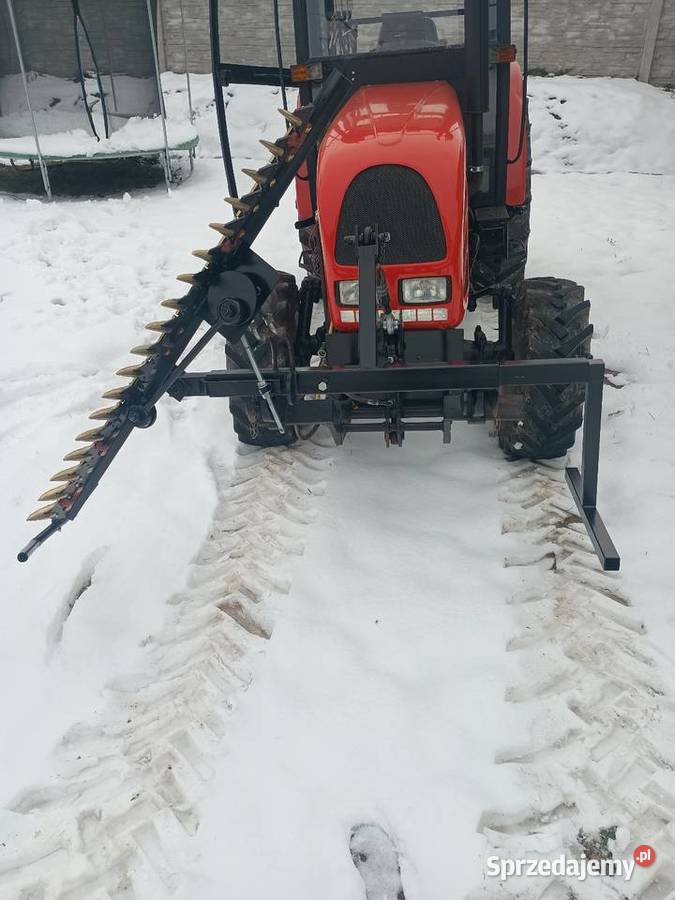 Podcinacz do porzeczek Obrazów