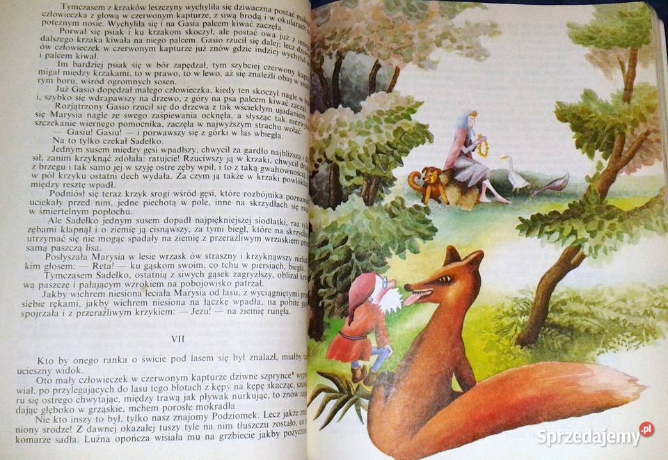 O krasnoludkach i o sierotce Marysi Maria lubelskie Chełm