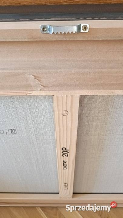 Piękny współczesny obraz Zima Warszawa