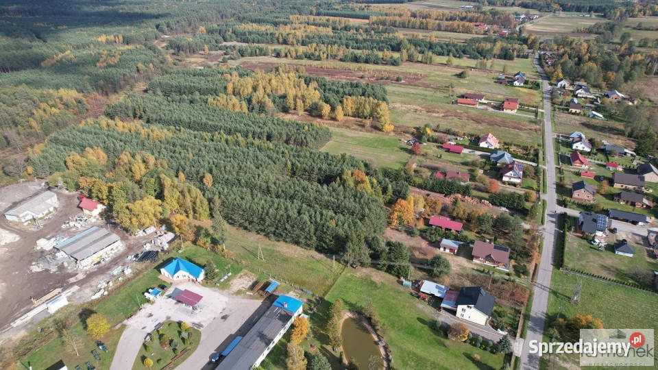 Ogłoszenie grunt 7600m2 Majdan Sieniawski