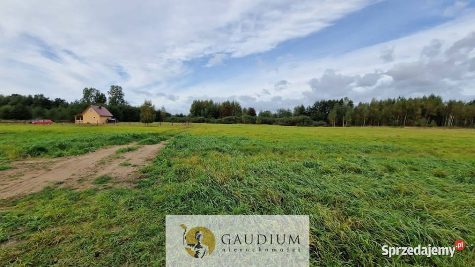 działki w Drewnicy budowlana pomorskie Drewnica