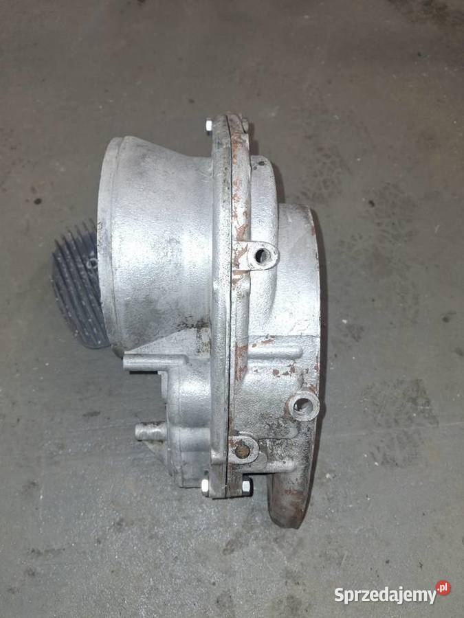 Kartery WSK 125 niezgodne numery Występy