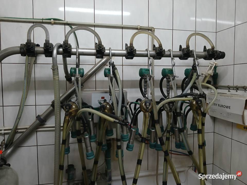 Dojarka przewodowa rurociągowa GEA Likwidacja podlaskie Ciechanowiec sprzedam