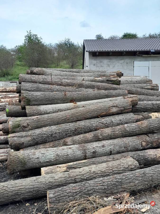 Tarcica dębowa Gulcz