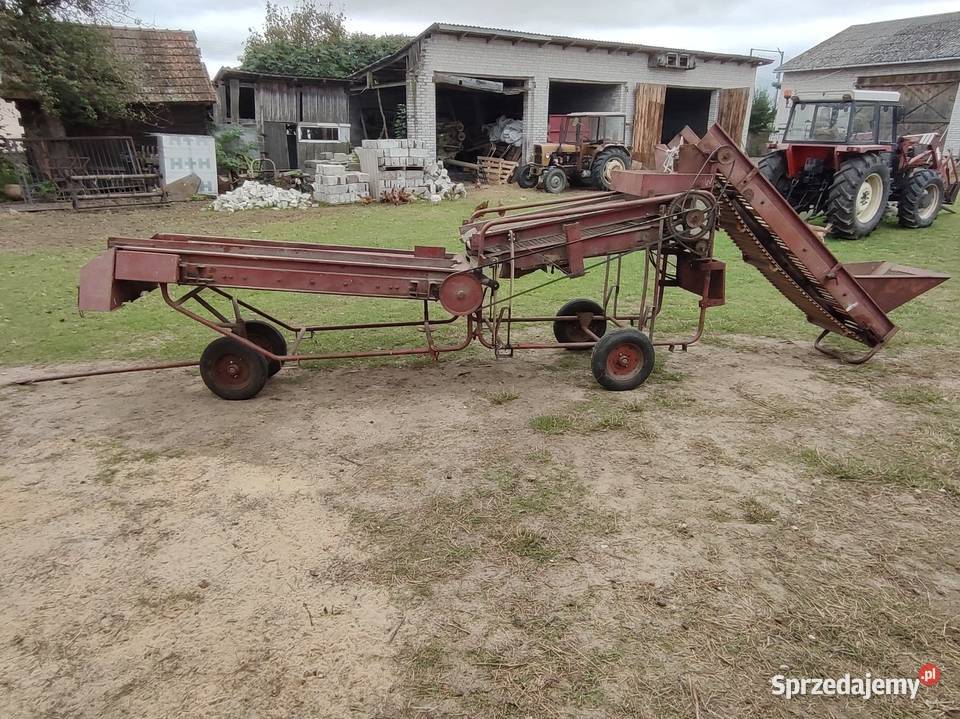 Sortownik puck pucki do ziemniaków warzyw Paprotnia