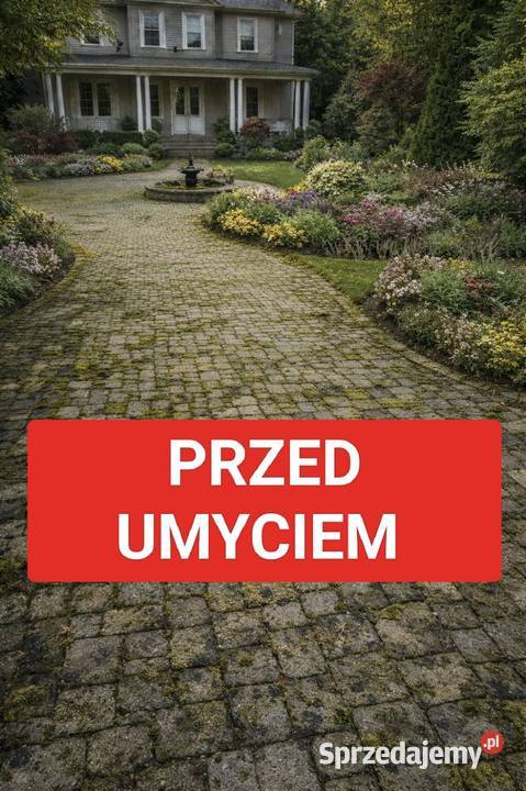 Mycie czyszczenie kostki brukowej Skierniewice