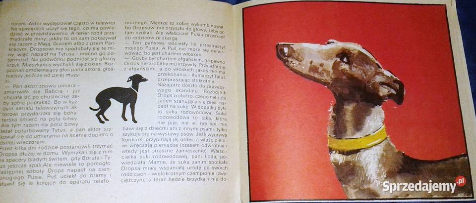 Drops rozbójnik zza Żelaznej Bramy Marek Andrzej Chełm