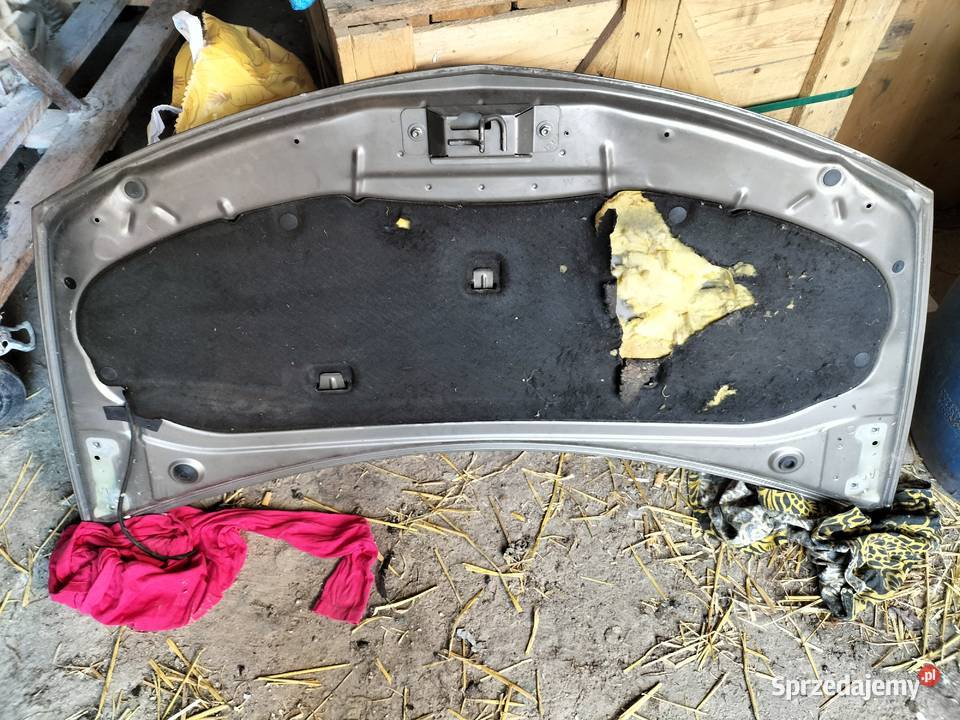 RENAULT CLIO 3 LIFT MASKA Kamień-Kolonia