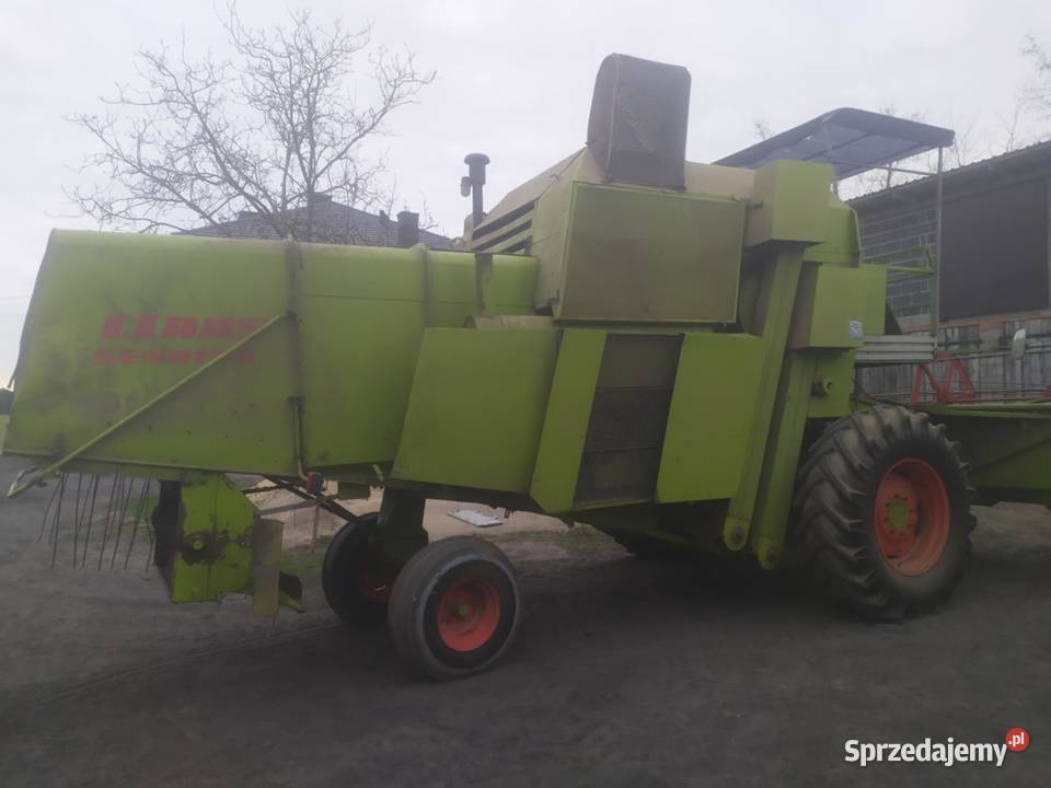 kombajn claas senator Koźminek