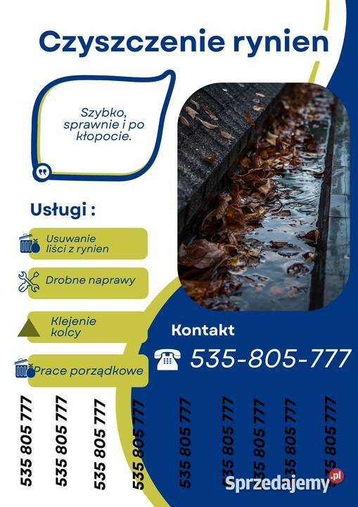 Czyszczenie RYNNY Kominy Naprawa dachów Szybkie Miechów