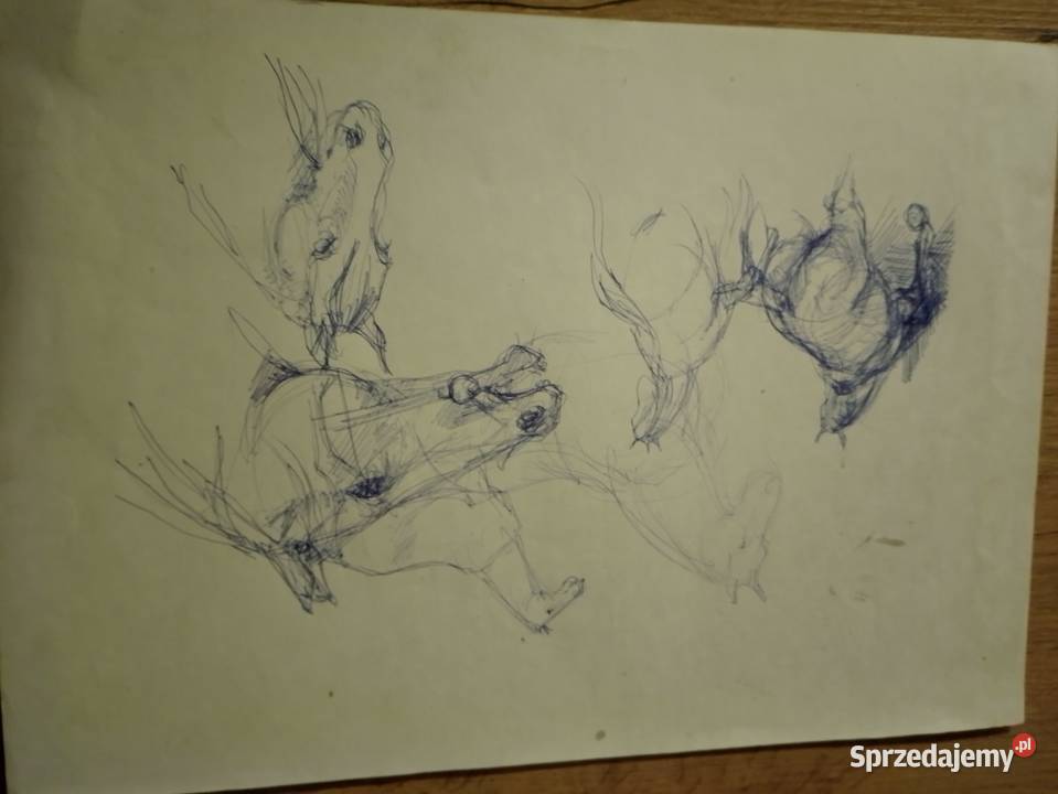 Krzych Krzysztof lubaczowski kossak Jarosław sprzedam