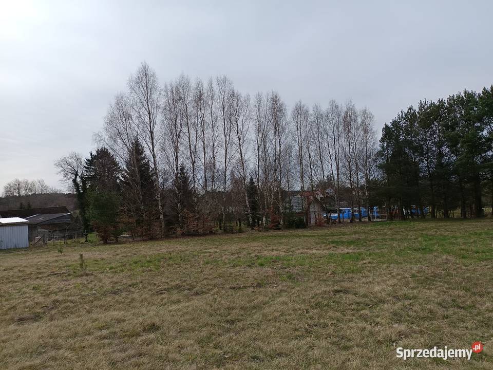 Działka rolna Przeradz gmina Grzmiąca sprzedam