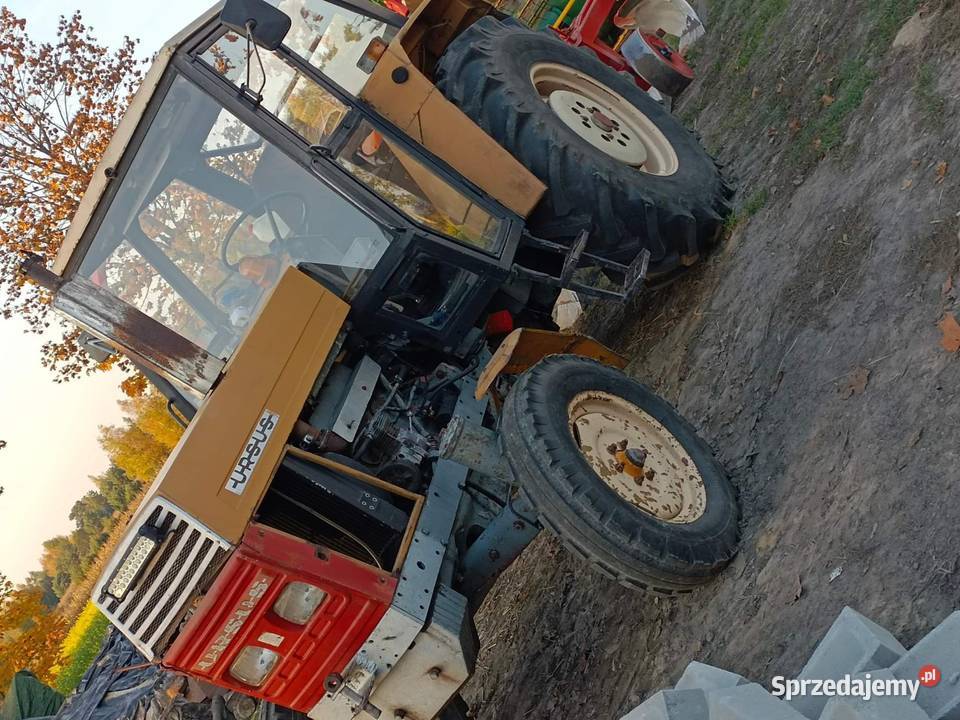 C 385 lubelskie Sosnowica