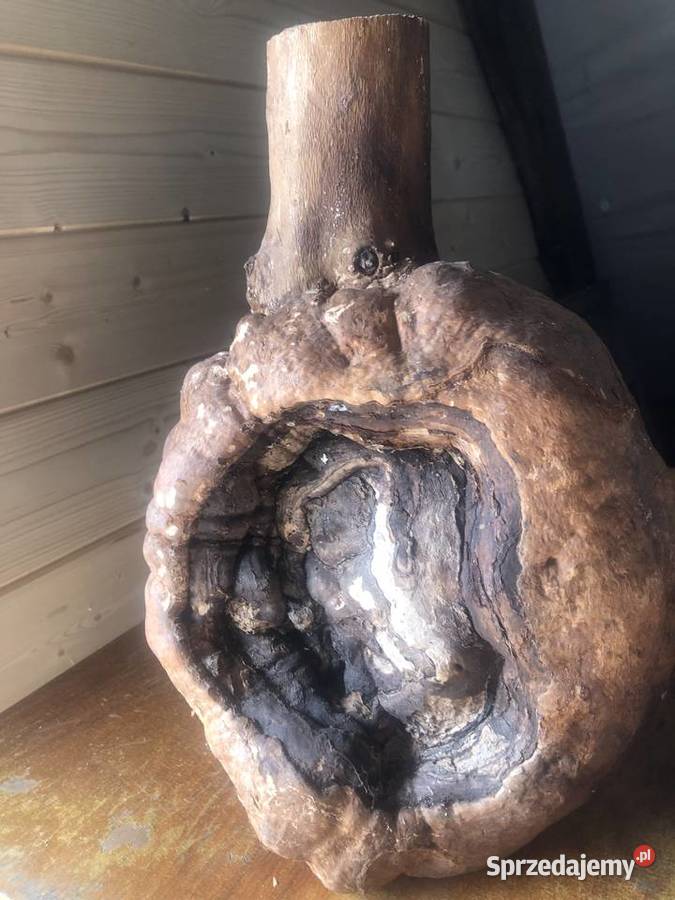 Sztuka użytkowa drewno Ciepielów