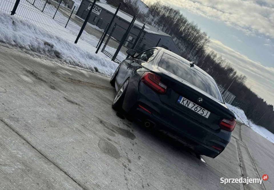 BMW 2 f22 2014 20d nieuszkodzony Nowy Sącz