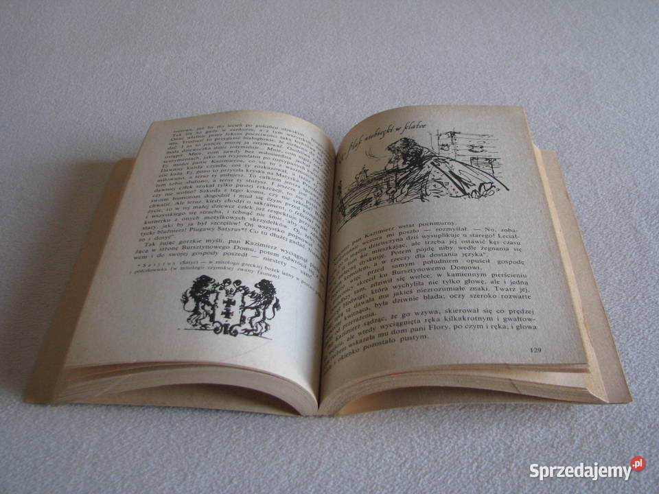 Panienka z okienka Deotyma Jadwiga Łuszczewska Brzegi