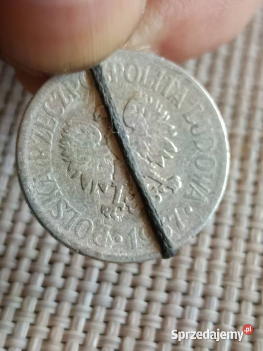 sprzedam 50 groszy 1957 qqqqq Chełm sprzedam