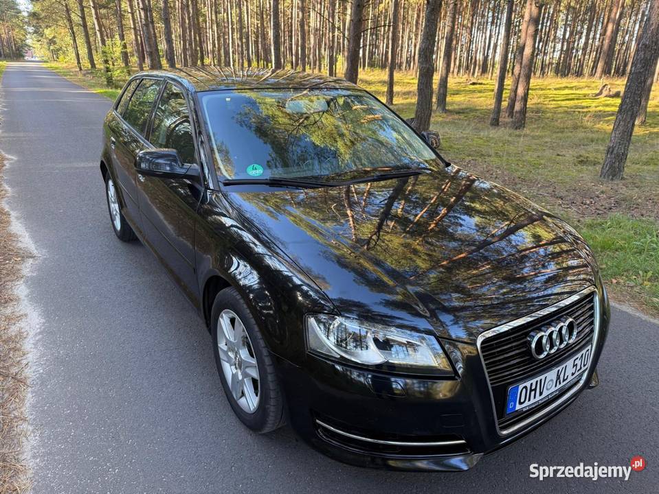 Audi A3 20 TDI CR 2012r Tuchola