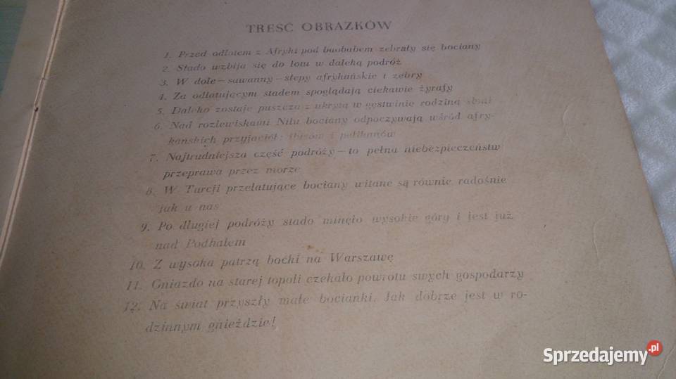 Roman Owidzki Bociany wracają Książka Książki i Podręczniki Czeladź
