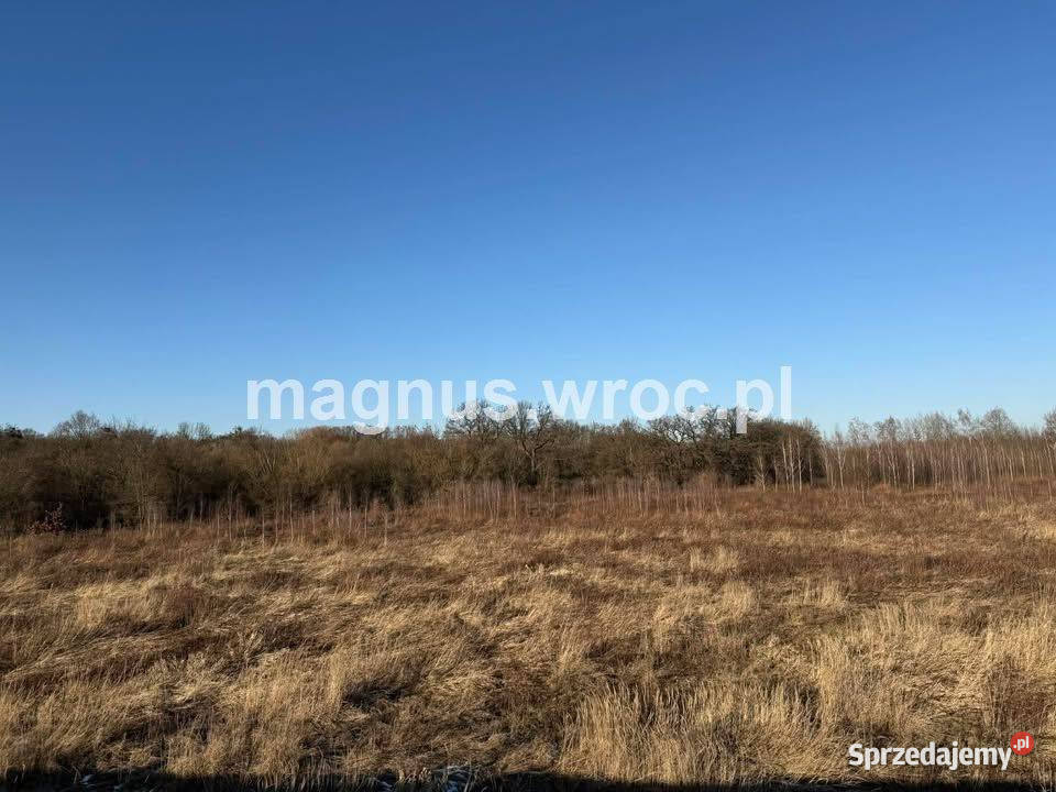 Oferuję działke rolną Bystrzycą w Jerzmanowie Wrocław