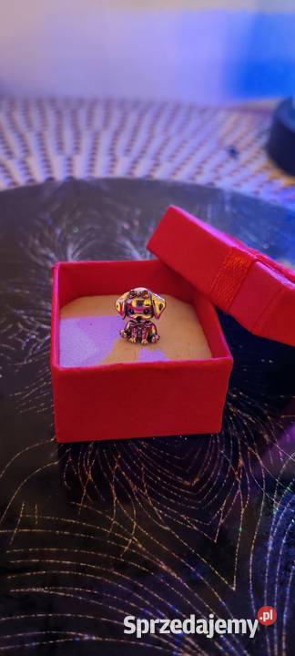 Charmsy do bransoletki Pandora próba 925 Dąbrowa Górnicza