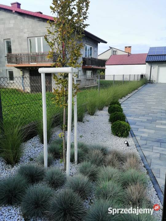 Budowa ZAKŁADANIE OGRODÓW Garden service Ogrody Dąbrowa Tarnowska
