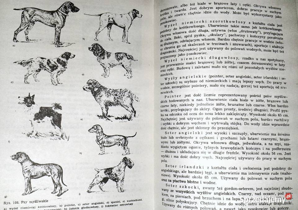 Gospodarstwo Łowieckie Haber Pasławski Chełm