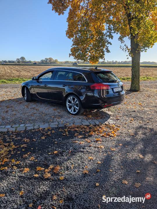 Opel Insignia 2011 r 20 CDTI ecoFlex DPF OFF 1956cm3 Insignia opolskie Nysa