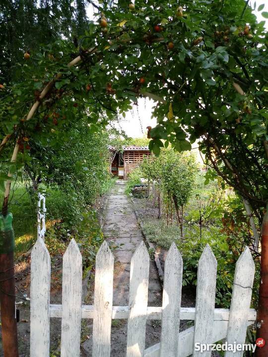 Ogródek Działkowy Hagera Zabrze RodSzarotka