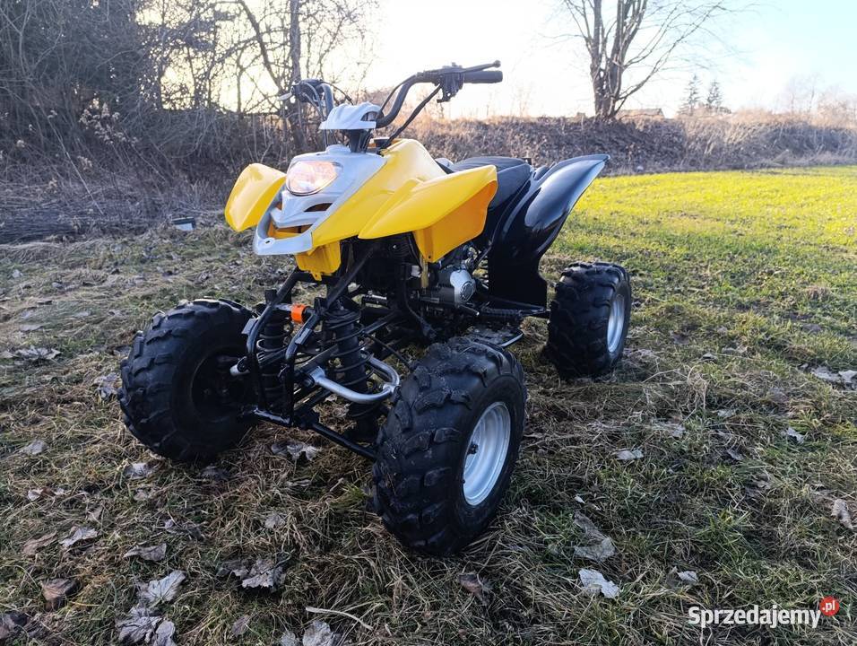 Quad Bashan 200 kujawsko-pomorskie Poledno sprzedam