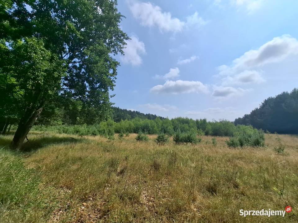 Działka rolna 28700mkw Wilkowo Dolina Baryczy