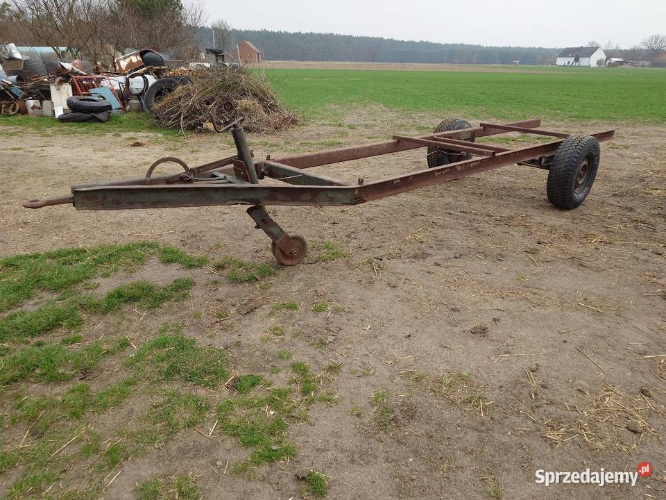 Dwukołówka dłużyca Korfantów
