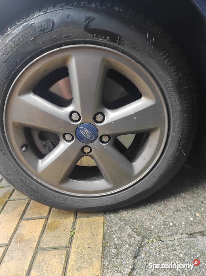 Focus MK II Kombi 18 tdci 2009 115KM Modliborzyce