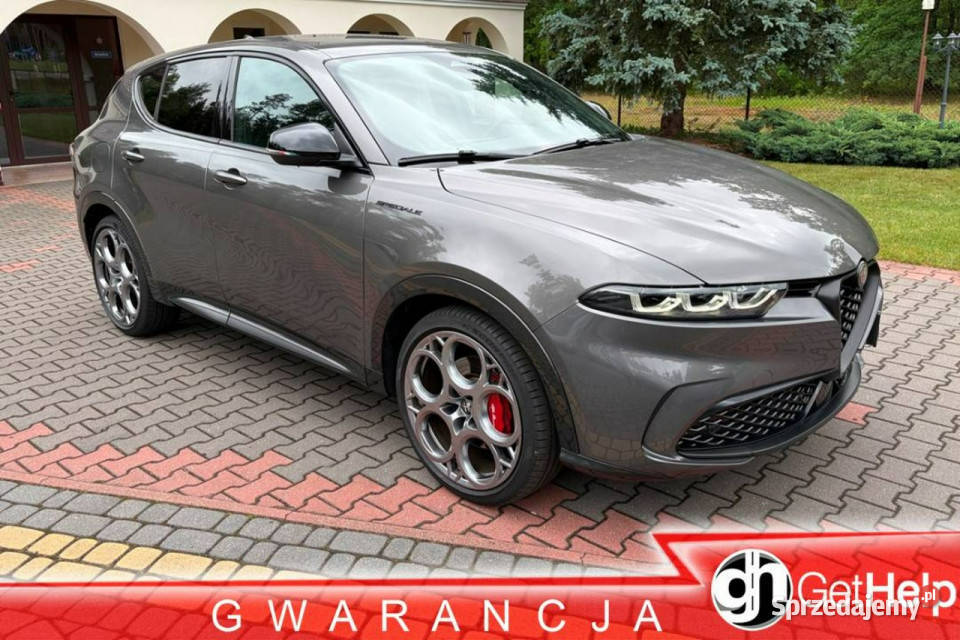 Alfa Romeo Tonale Speziale Nowe opony szary Lipówki