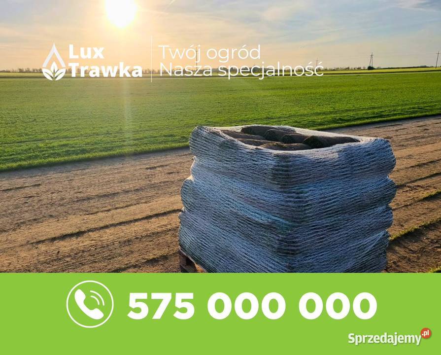 Trawa z rolki Sezonowana 1218 miesięcy
