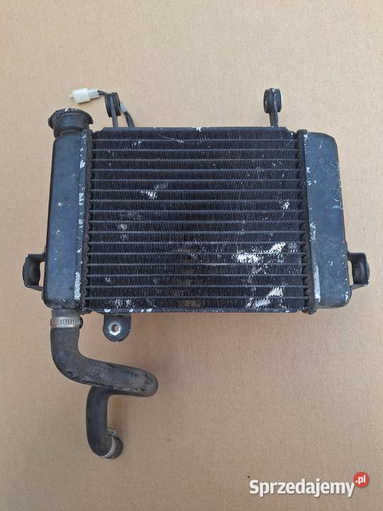 HONDA CBR 125 WENTYLATOR CHŁODNICA WODY CIECZY Bieleń